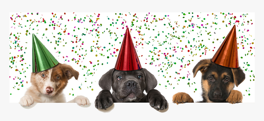 Transparent Pets Png - Happy New Year 2019 Puppy, Png Download