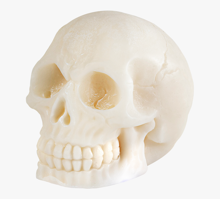 Peppermint Scream 
 Title Peppermint Scream - Skull, HD Png Download