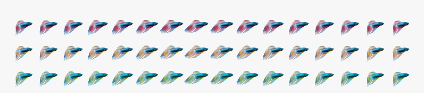 Fish, HD Png Download