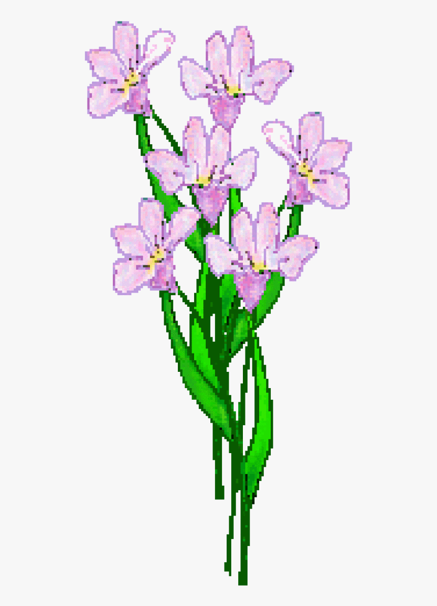 Lavender Flower Clip Art - Lily, HD Png Download