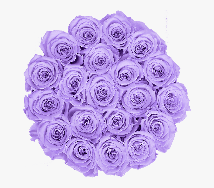 Blue Rose, HD Png Download