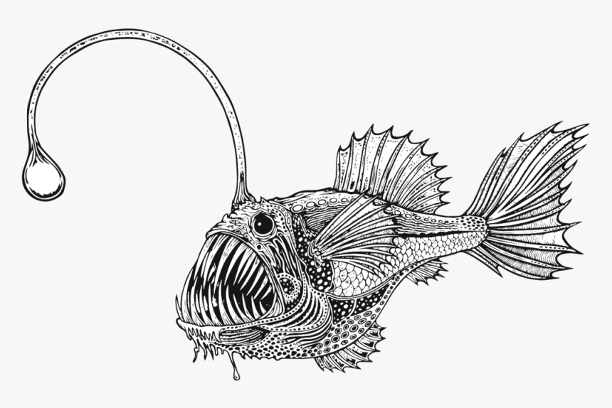 A Gravelly Ride In Mendocino County - Striped Burrfish, HD Png Download