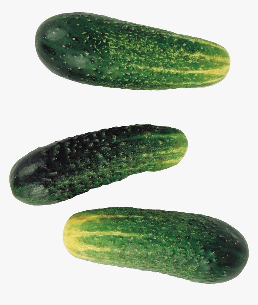 Pepino - Pickled Cucumber, HD Png Download