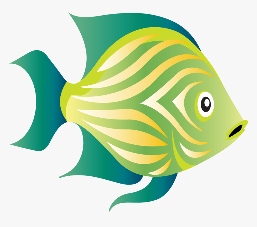 Coral Reef Fish, HD Png Download