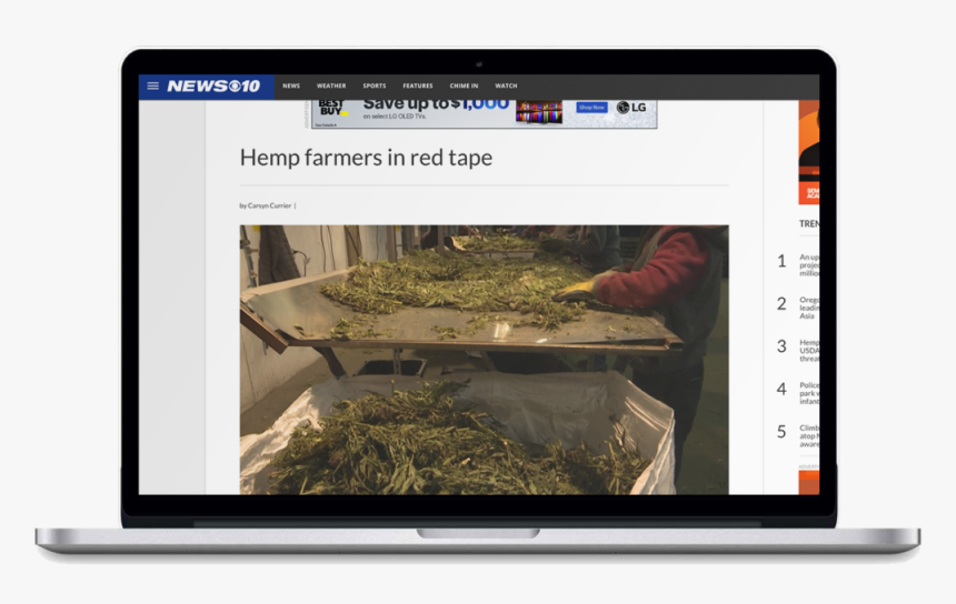 Spotify For Artists Stats, HD Png Download