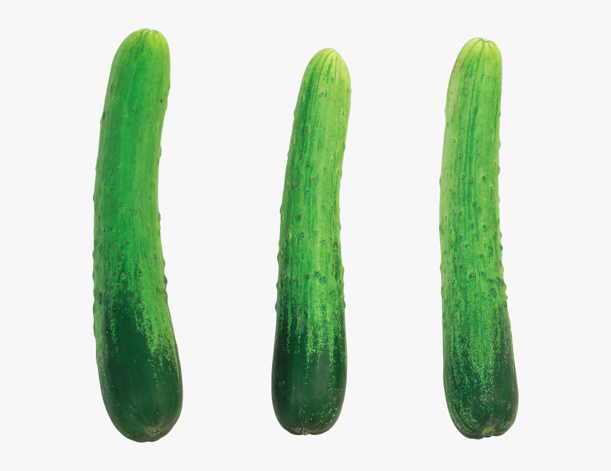 Cucumber Png Free Download - Cucumber With No Background, Transparent Png