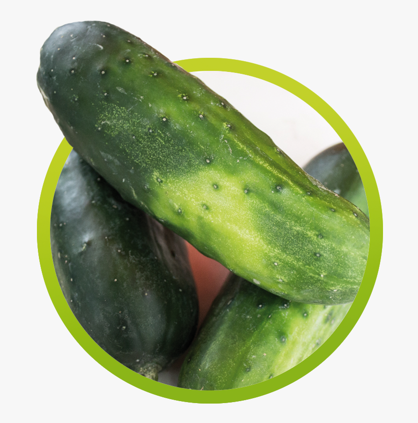 Cucumber, HD Png Download