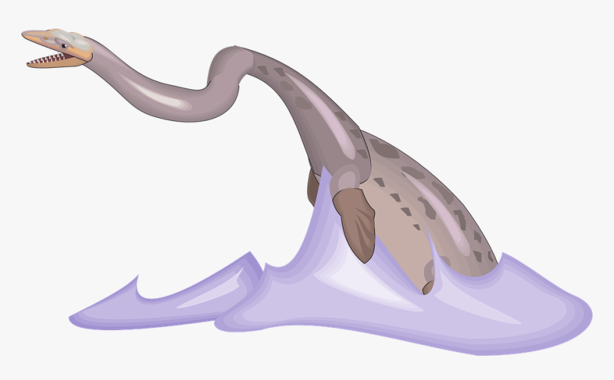 Water, Fish, Swimming, Tail, Ancient, Aquatic, HD Png Download