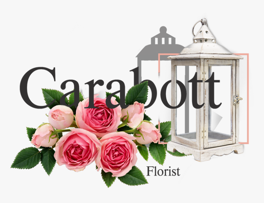 Garden Roses, HD Png Download