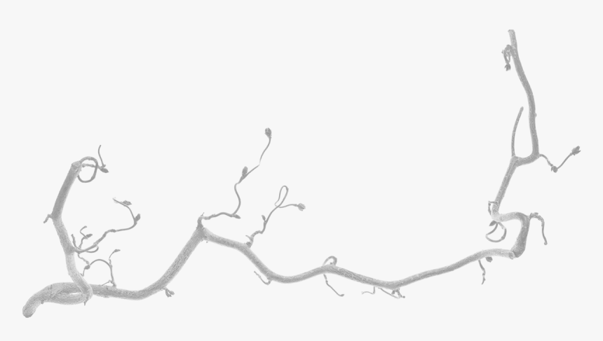 Drawing, HD Png Download