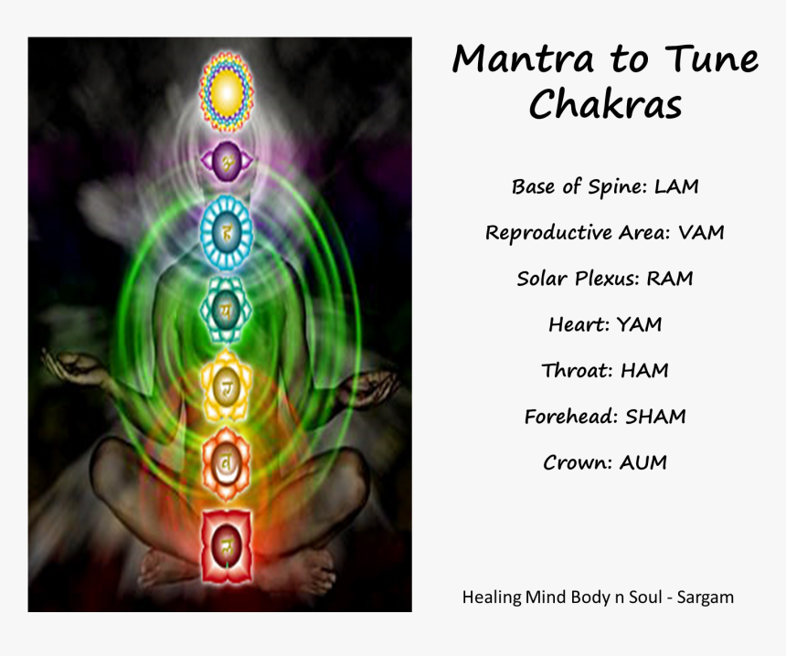 Sargam Tuning Chakras - Namah Shivaya In Chakras, HD Png Download