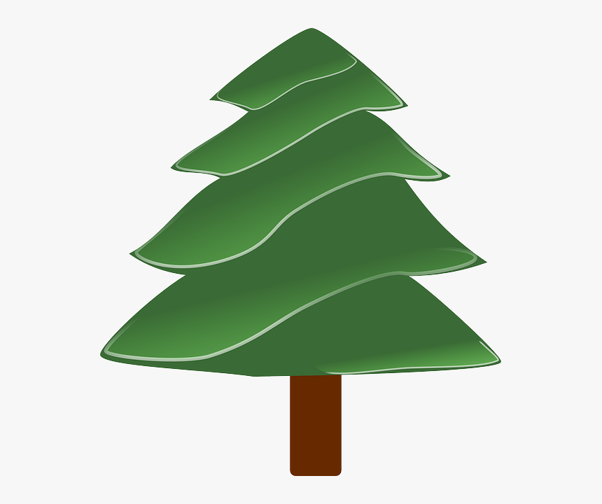 Evergreen Tree Clipart - Clipart Evergreen Trees, HD Png Download