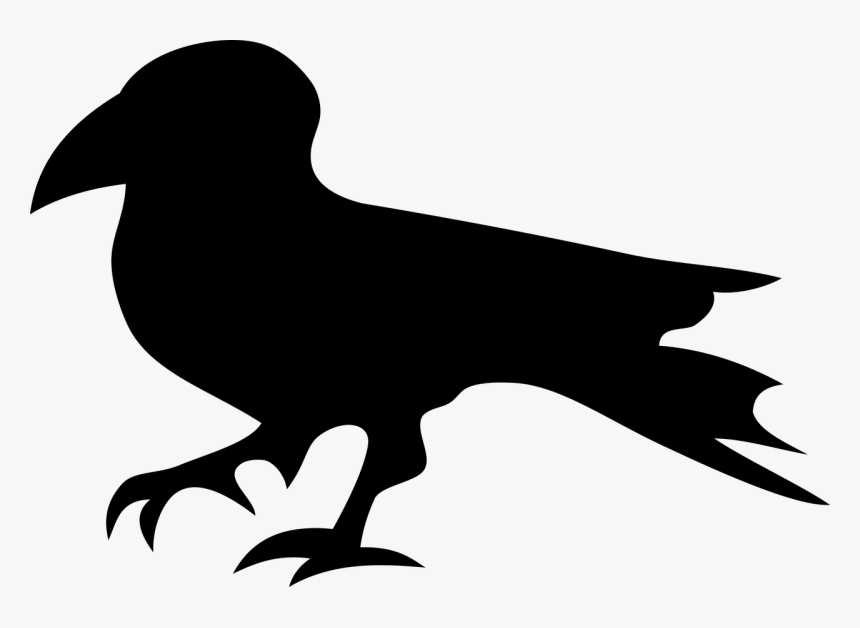 Raven Bird Nature Free Photo - Raven, HD Png Download