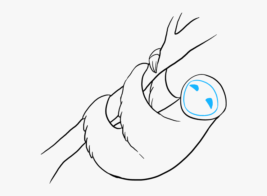 Transparent Sid The Sloth Png - Sloth Cartoon Drawing, Png Download