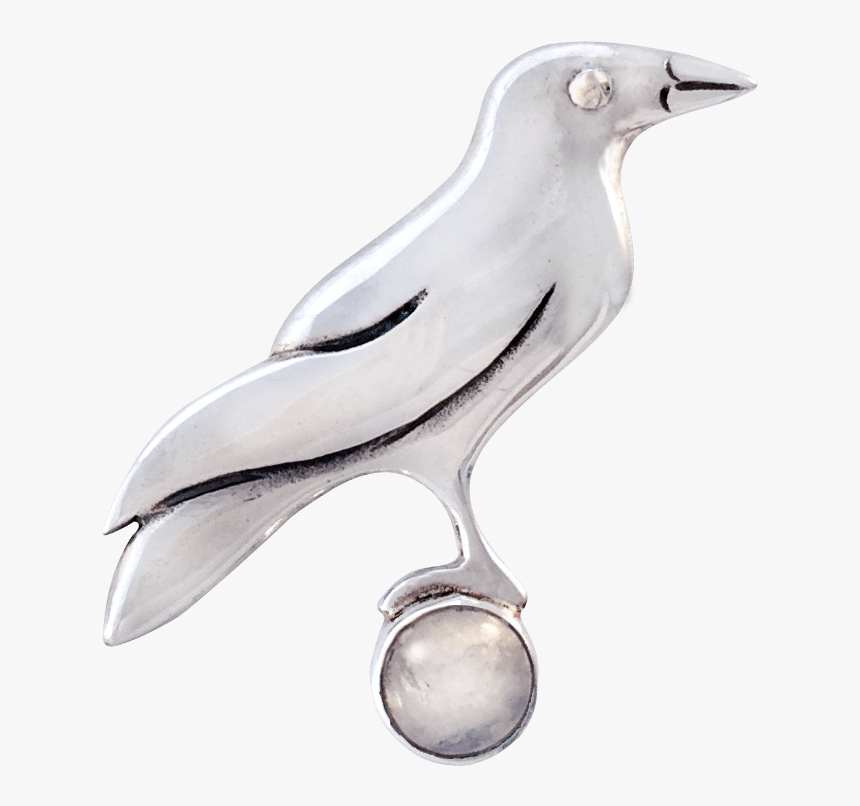 Pigeons And Doves, HD Png Download
