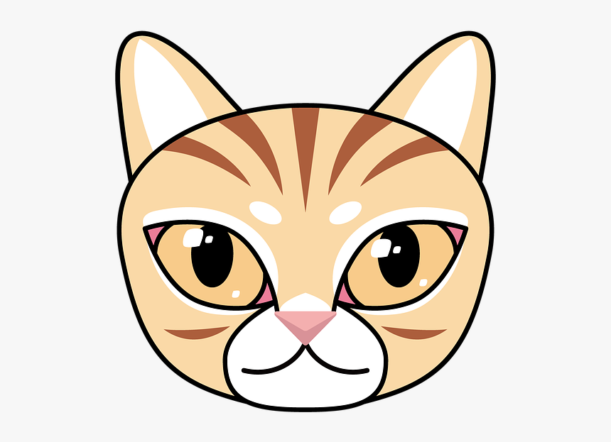 Cat, Winner Of The Tabby, Animal, Cute, Cartoon, Kitty - Asian, HD Png Download