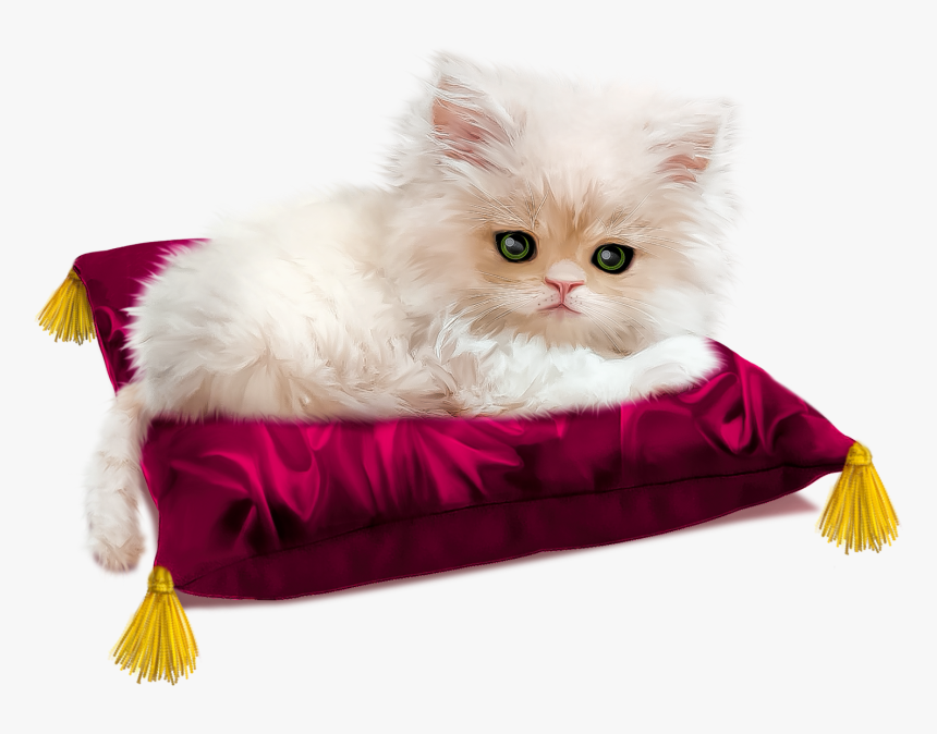 Almofada Para Gatos Dormirem, HD Png Download