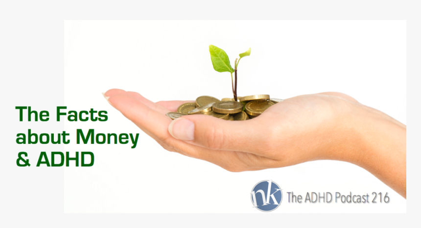 City Of Leicester College, HD Png Download