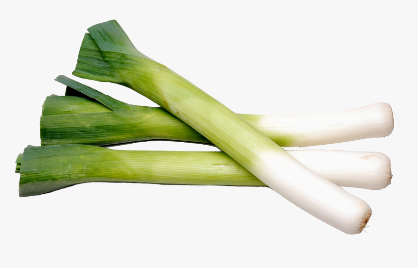 Fresh Leek, HD Png Download