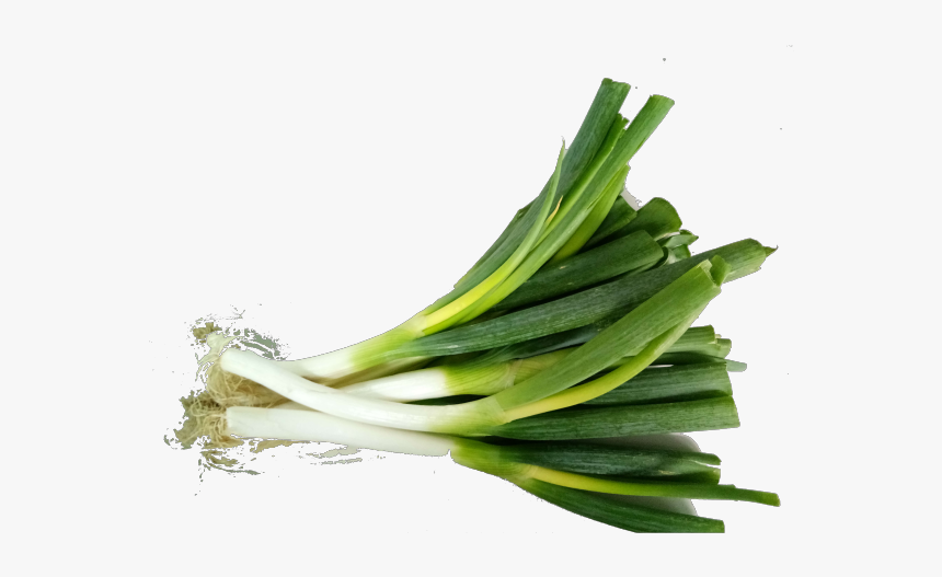 Onion Leeks, HD Png Download