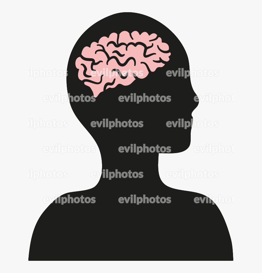 Brain Drawing Vector And Stock Photo - Drawing, HD Png Download