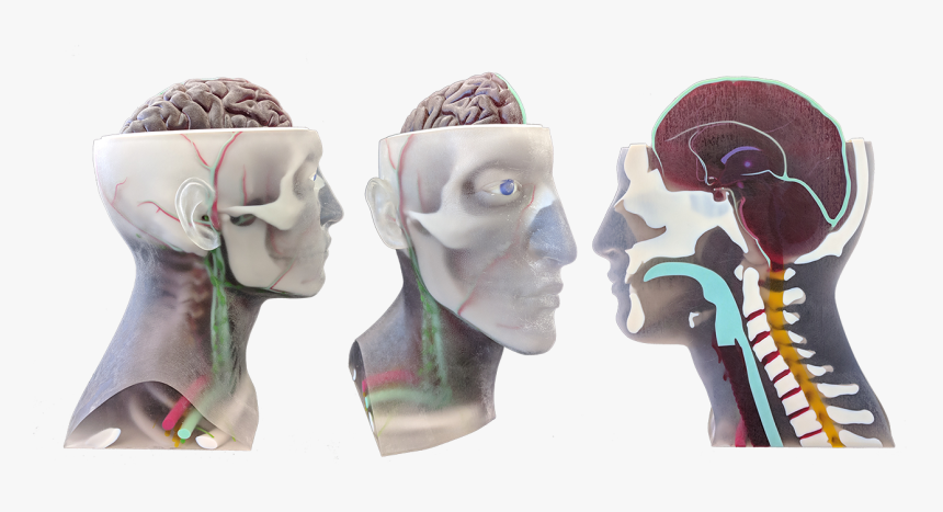 Plastic Arts, HD Png Download