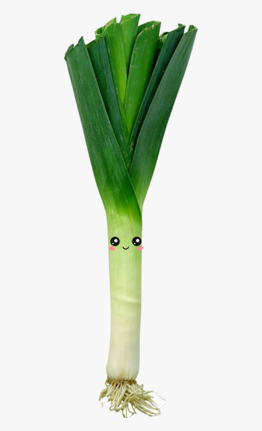 Mein Neuer Aufkleber ❤️ - Leak Vegetables, HD Png Download