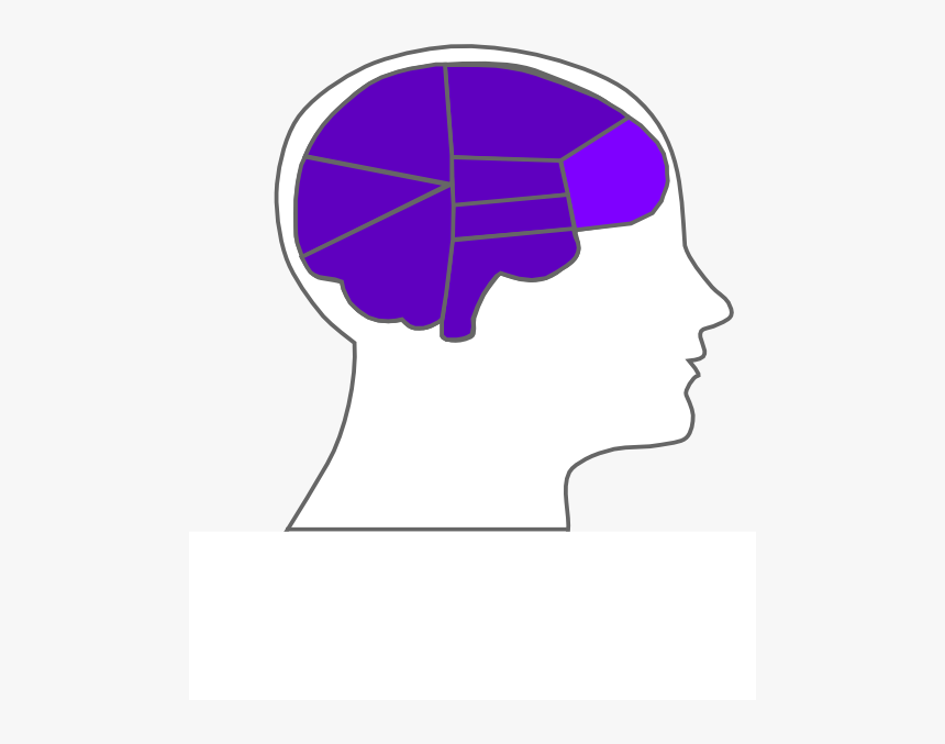 Head And Brain Outline Svg Clip Arts - Human Brain, HD Png Download