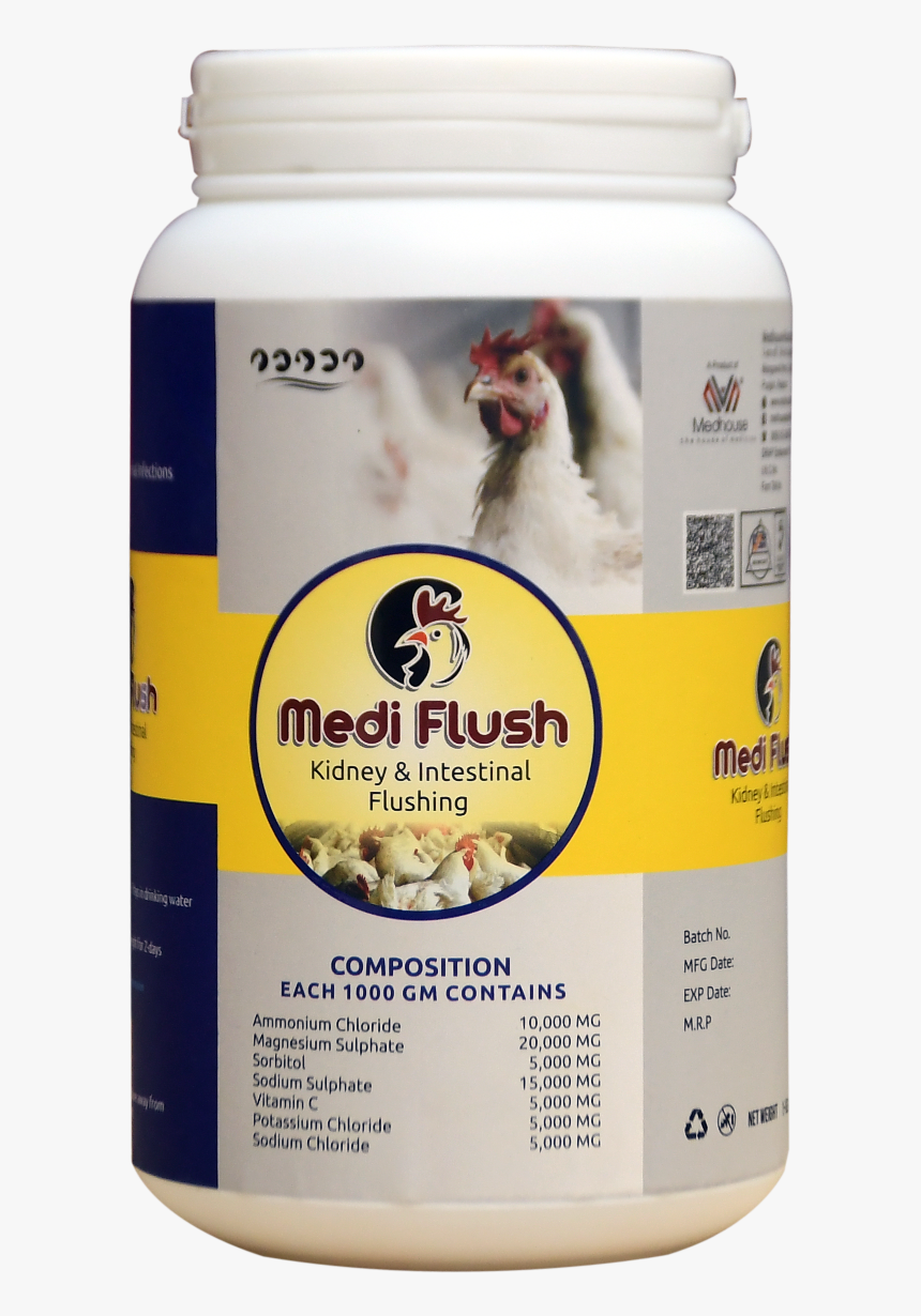 Stallion, HD Png Download