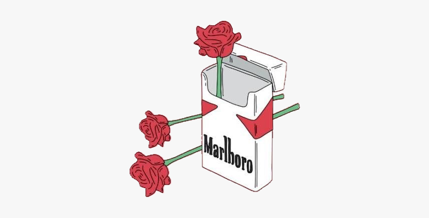 Cigar Cigarette Marlboro Roses Rose - Marlboro Roses, HD Png Download