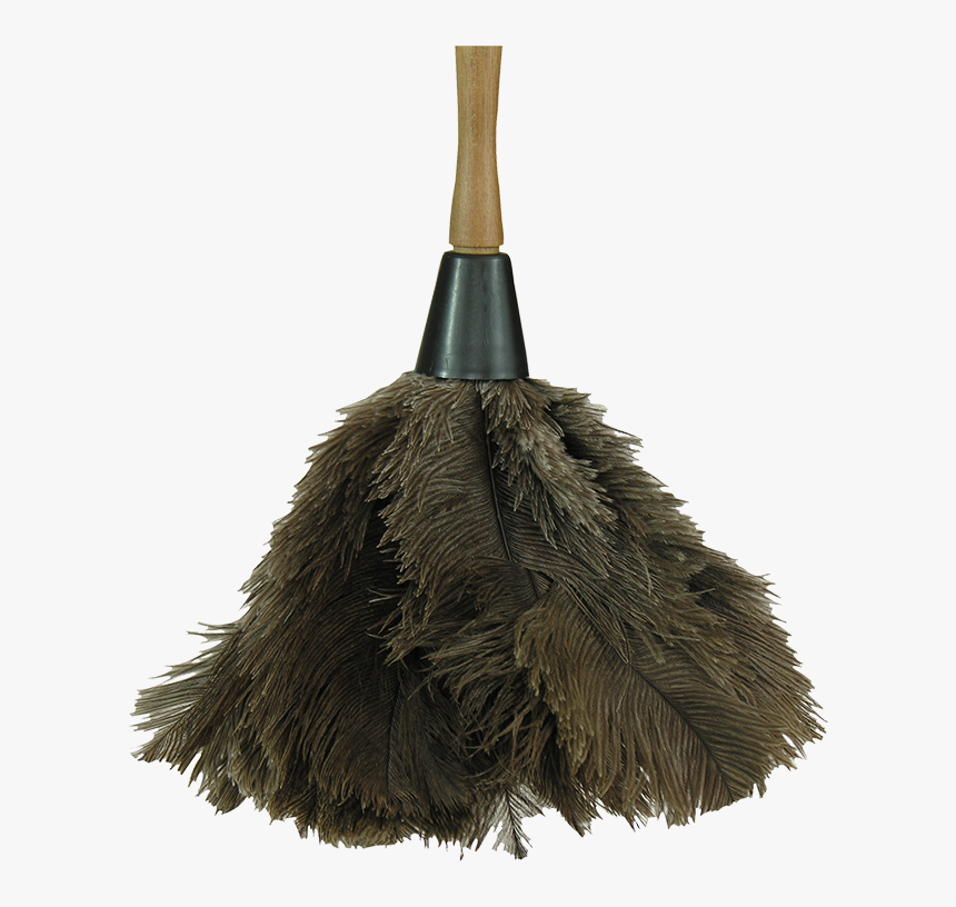 Ostrich Feather Dusters - Feather Duster, HD Png Download