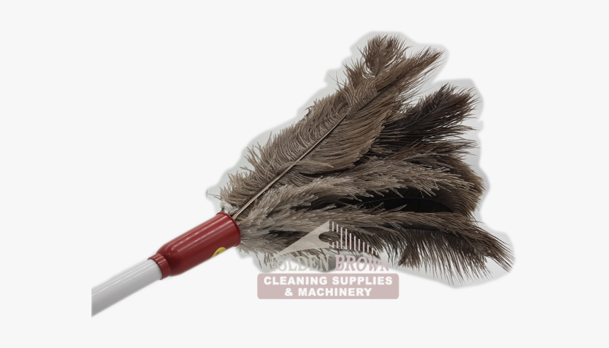 Feather Duster, HD Png Download