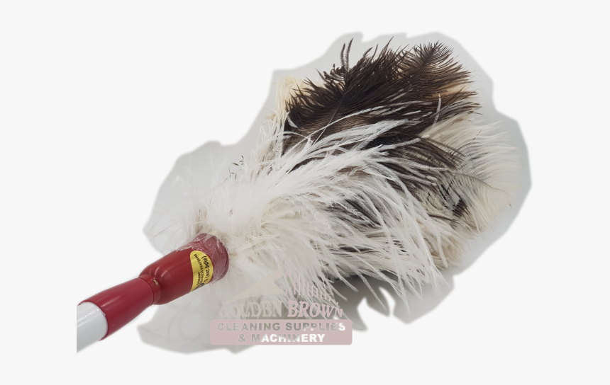 Badminton, HD Png Download