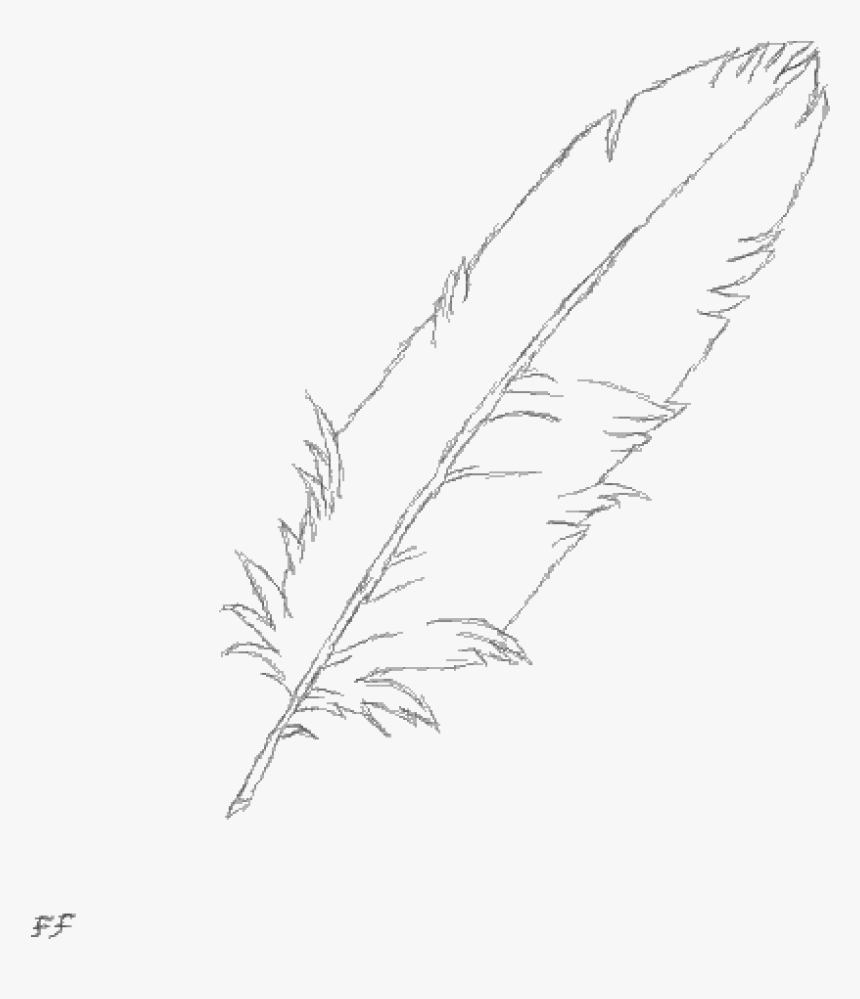 Transparent Feather Duster Png - Sketch, Png Download