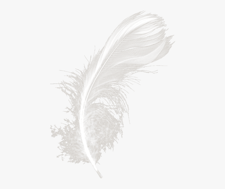 Transparent Feather Duster Png - Night, Png Download