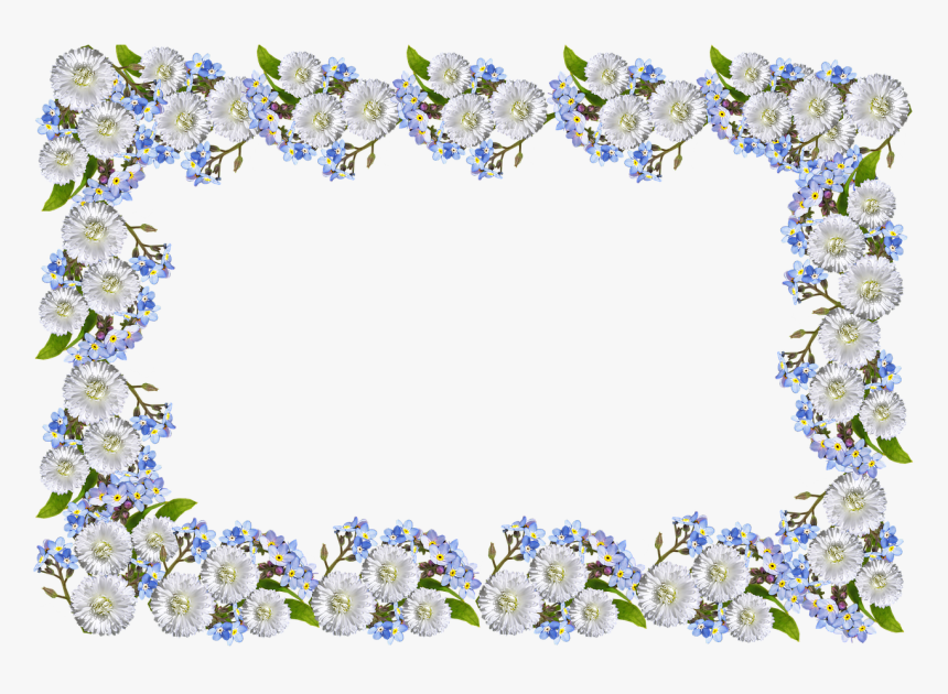 Frame Daisies Forget Me Not Free Photo - Forget Me Not Png Border, Transparent Png