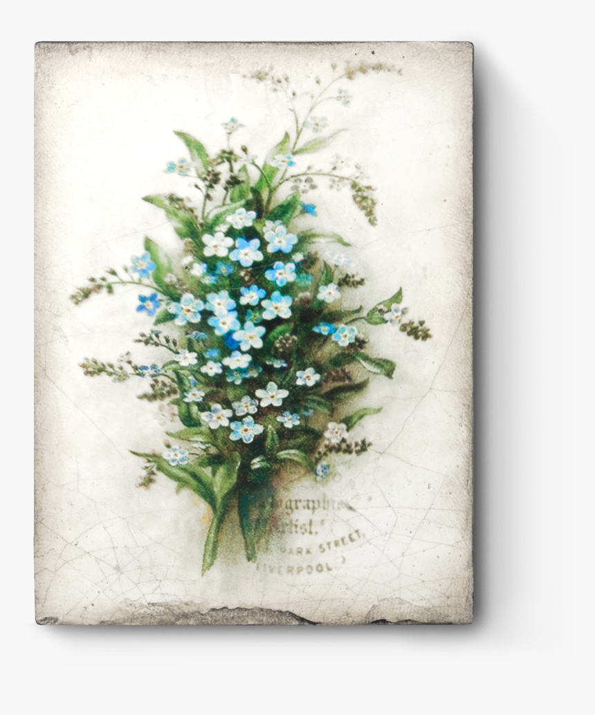 Spring Forget Me Not, HD Png Download