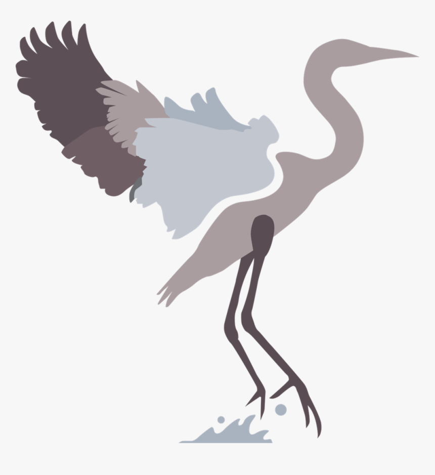 Transparent Feather Icon Png - Crane-like Bird, Png Download