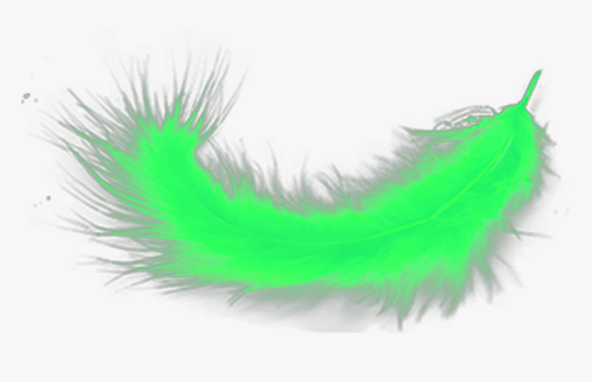 Hd Ftestickers Green Limegreen - Grass, HD Png Download