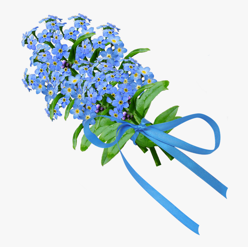 Clip Art Forget Me Not Bouquet - Forget Me Not Transparent, HD Png Download