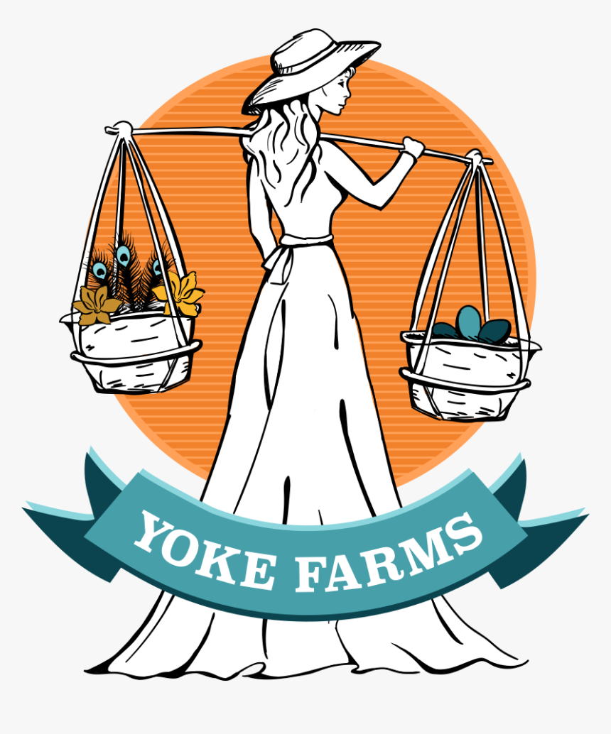 Transparent Feather Duster Clipart - Illustration, HD Png Download