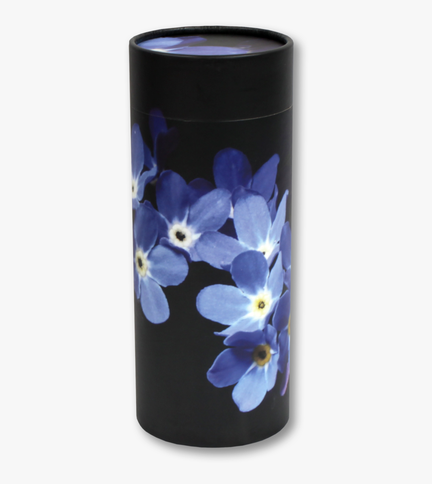 Forget Me Not - Viola, HD Png Download