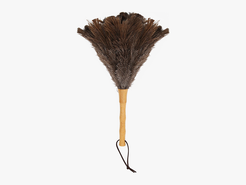 Sketch, HD Png Download