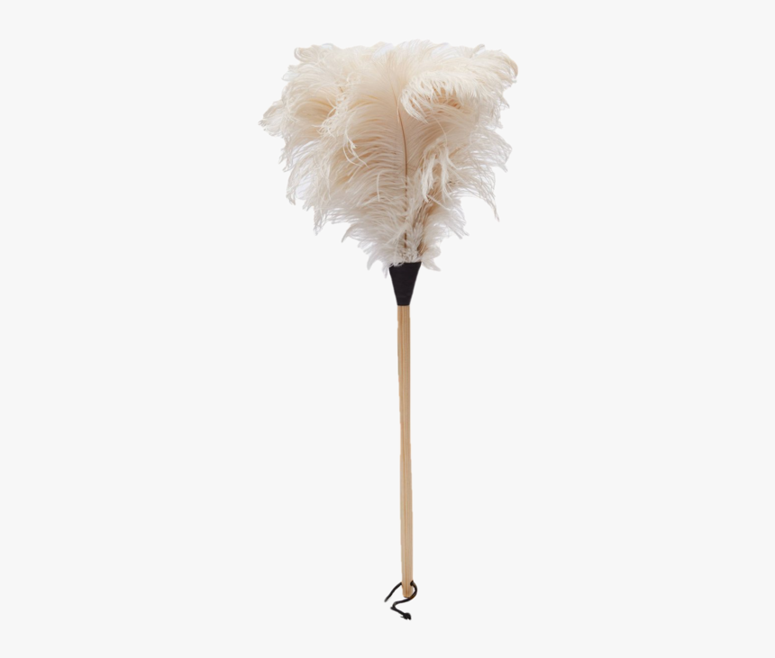 Cut Flowers, HD Png Download