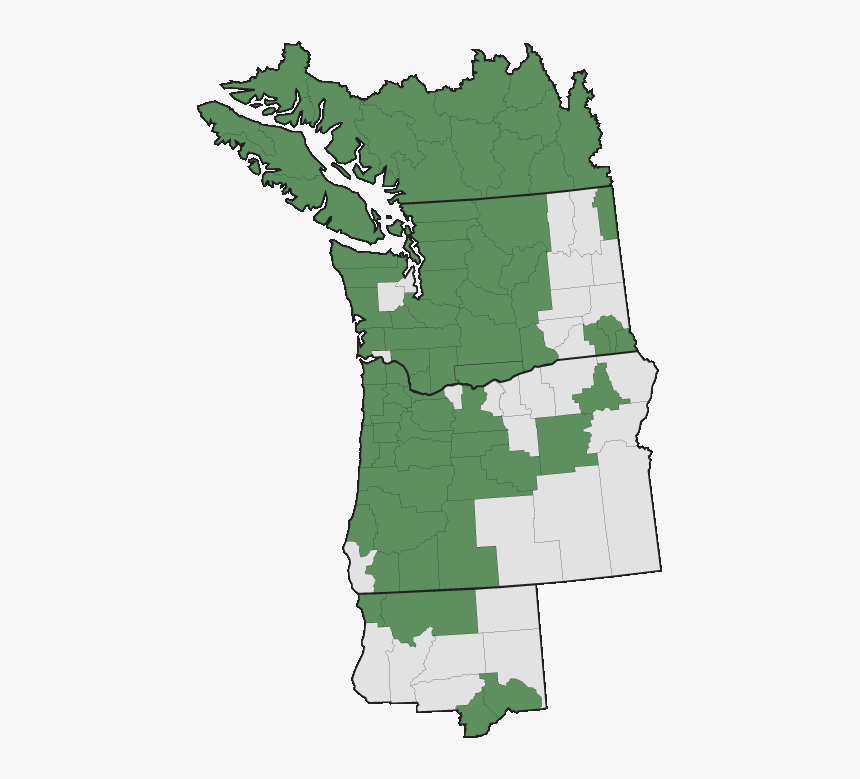 Evergreen Huckleberry Range Map, HD Png Download