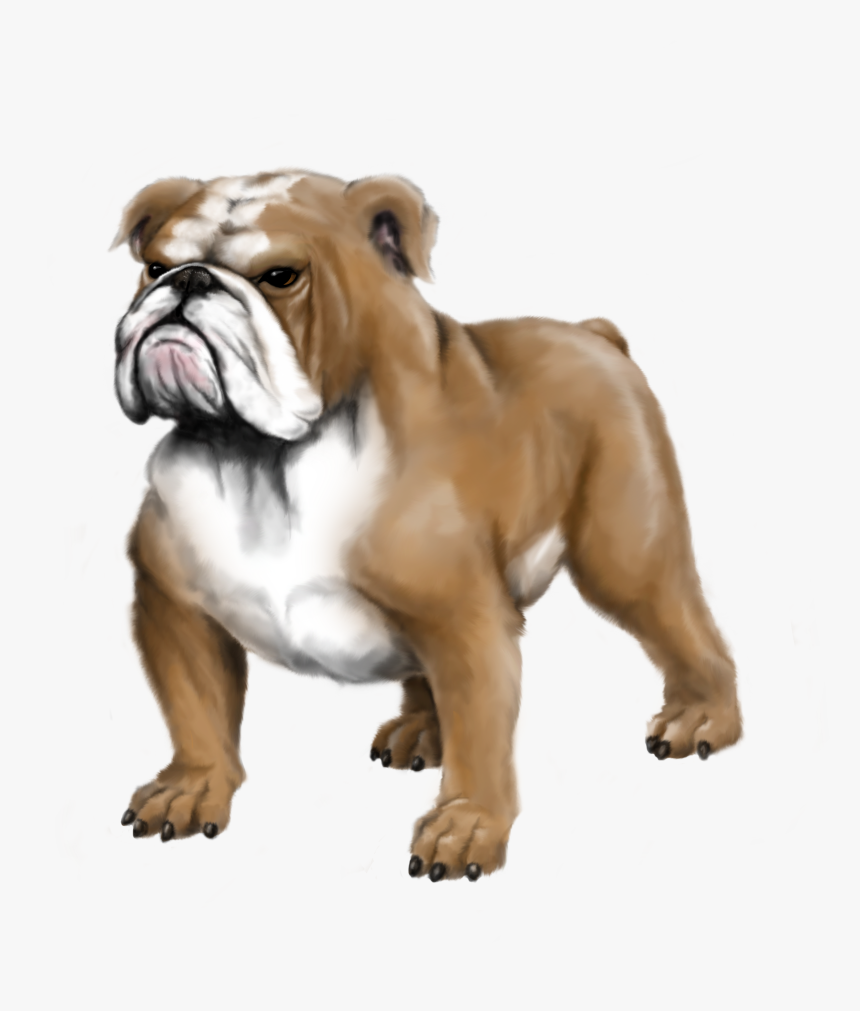 High Resolution Bulldog Logo, HD Png Download