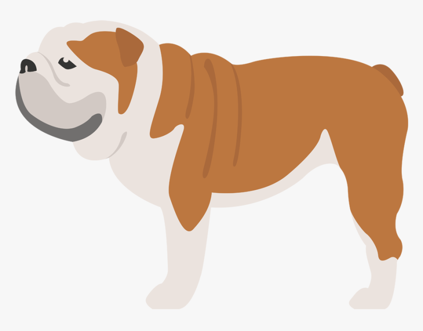 Old English Bulldog Dog Breed Bullmastiff Caucasian - Iconos De Bulldog Ingles, HD Png Download