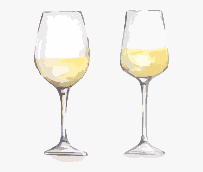 Maynards Wine Blog White Wine Glass - Wine Glass, HD Png Download