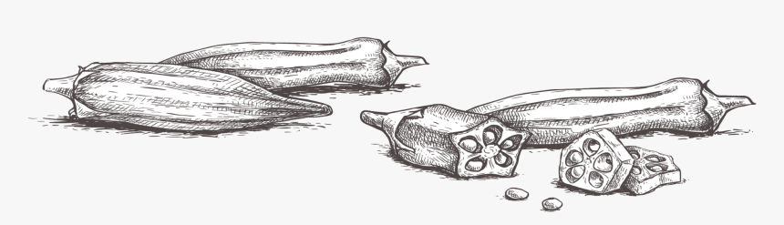 Irmo Okra Strut Festival - Hand Drawn Okra, HD Png Download