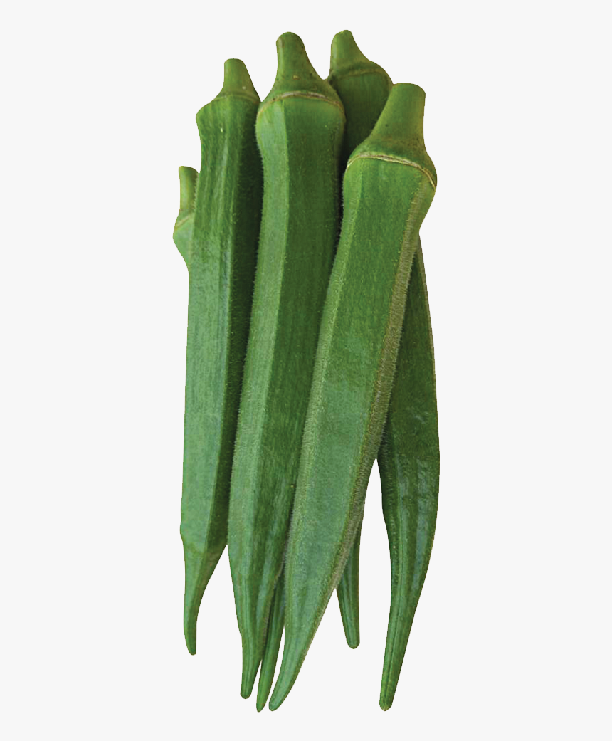 Okra, HD Png Download